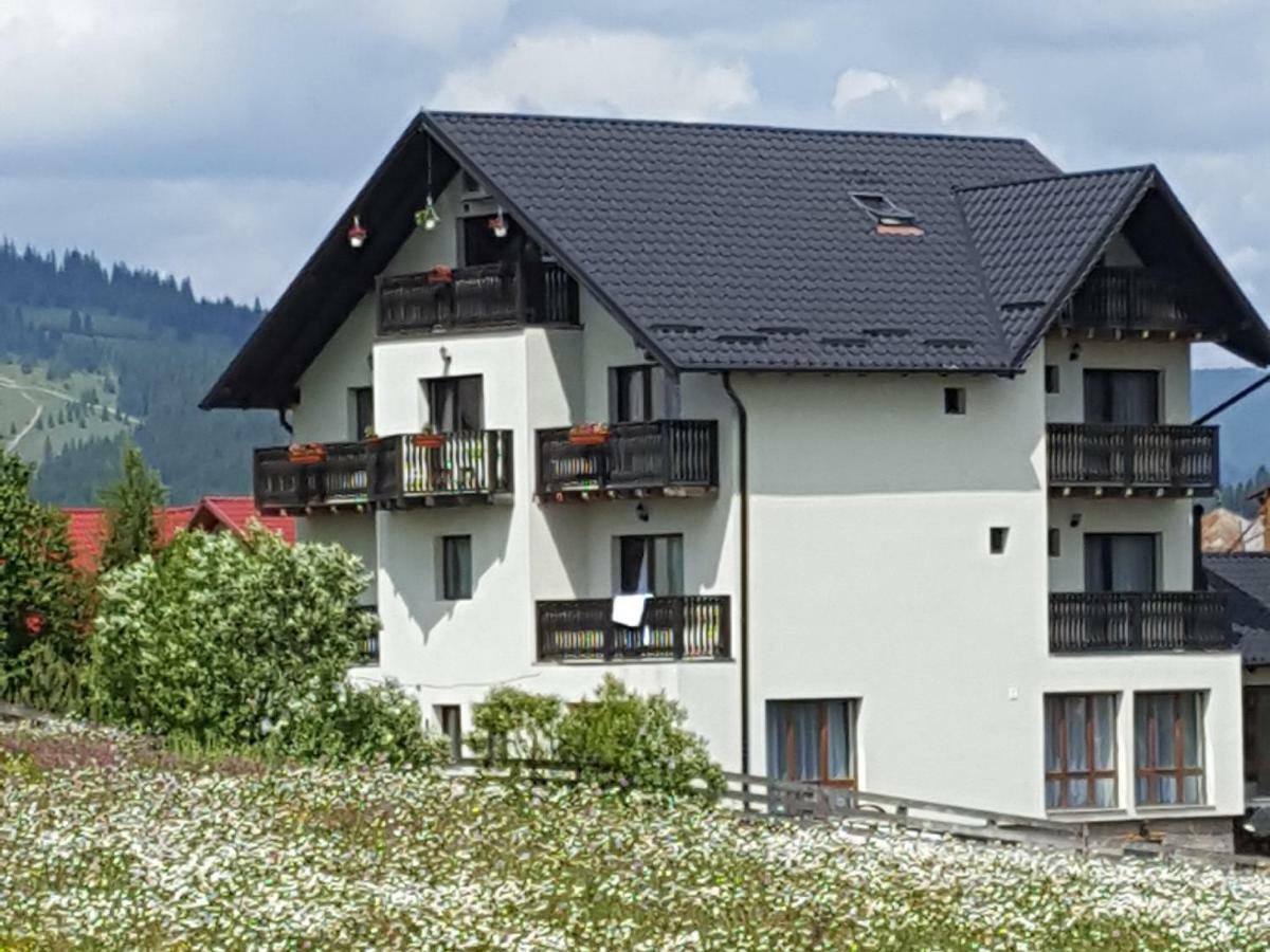 Отель Casa Dar&And Ватра-Дорней Экстерьер фото